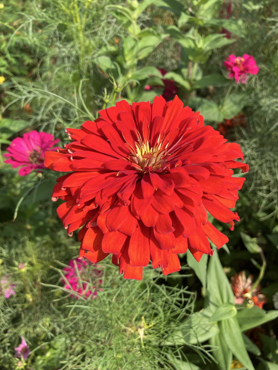 シン🌸母の介護が大変💦リアが多忙の為💦暫く超低浮上です✨🙇♀️ tweet media