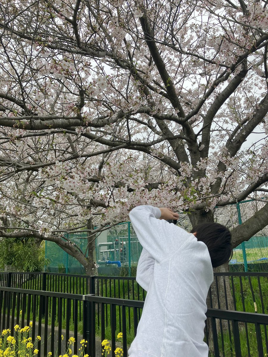 夢と足場のデリバリーニキ│ASNOVA 東京営業所 tweet media