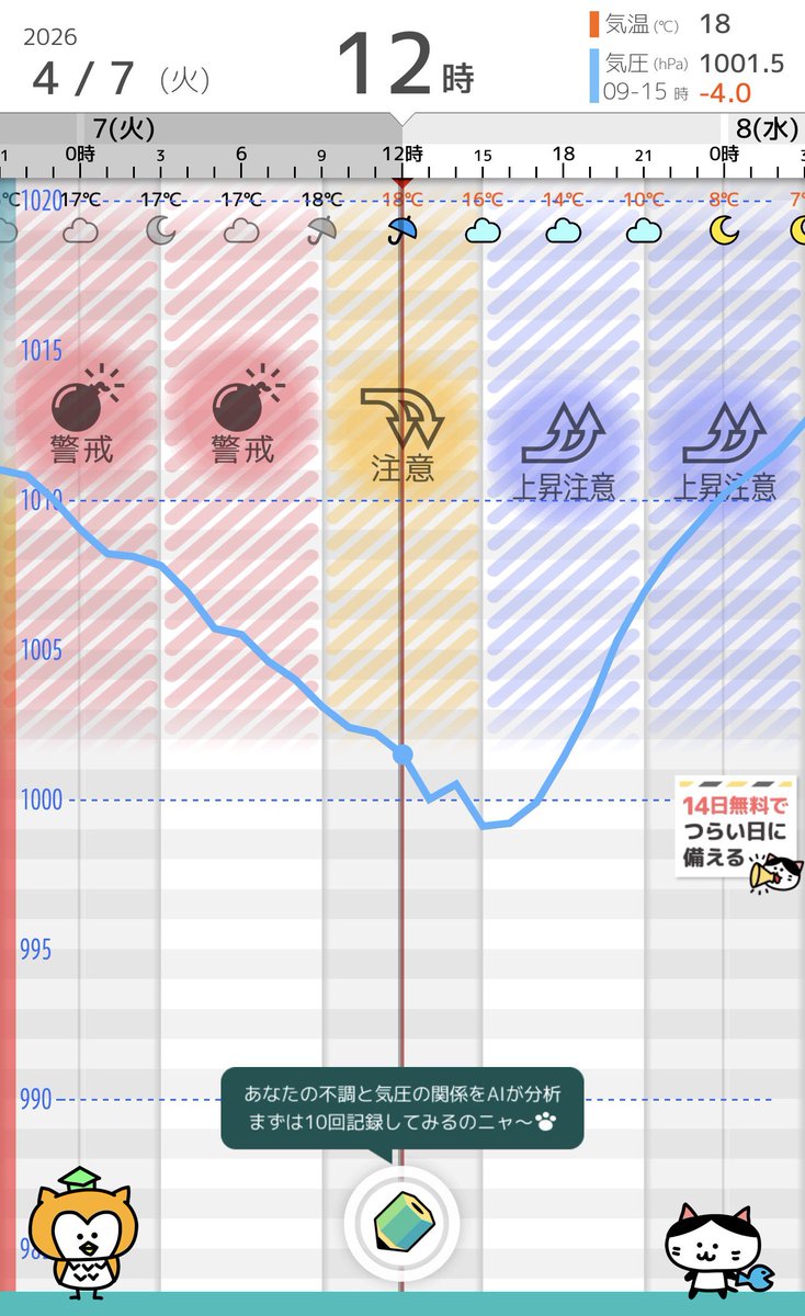 ぽむらいすᯅ̈ tweet media