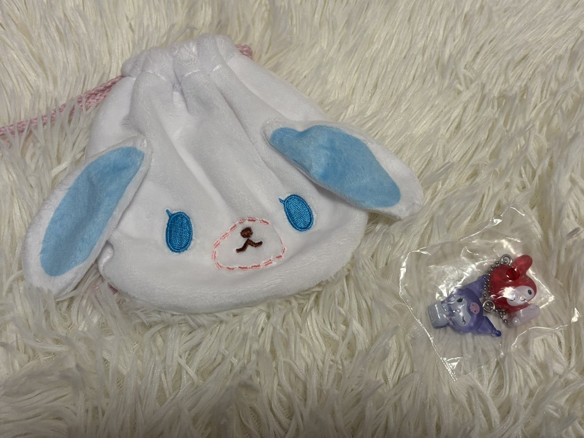 野良猫 tweet media