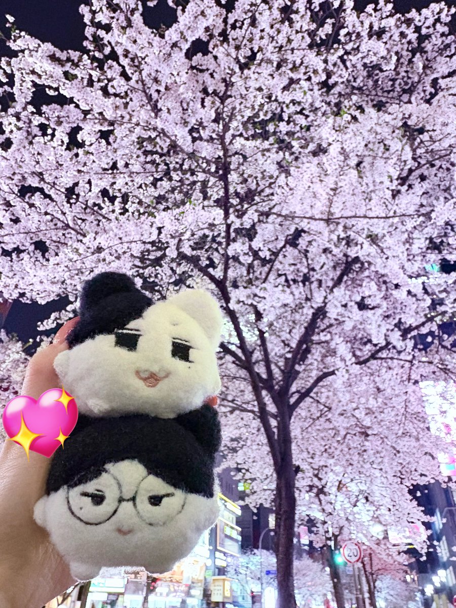 𝗔𝗚𝗧𝗦𝗬𝗞𝗠🐾 tweet media