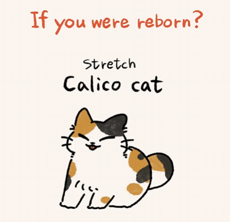 BlueThunder_vt's tweet photo. @Yanagi_Kanna Stretchy catto~ https://t.co/Yq9TpUoJ5i