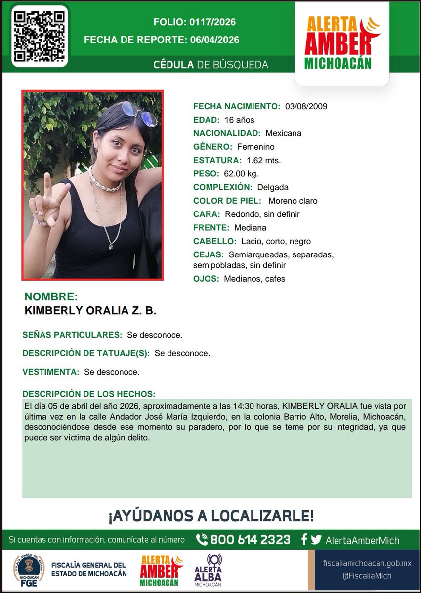 Alerta Amber Mich. tweet media