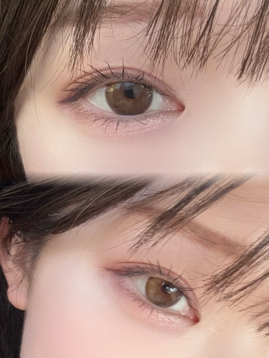 pittu(ぴっつ) tweet media