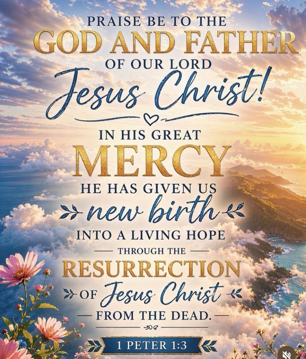 Sandi Maitland tweet media