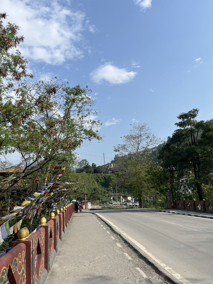 Daiden ✿ tweet media