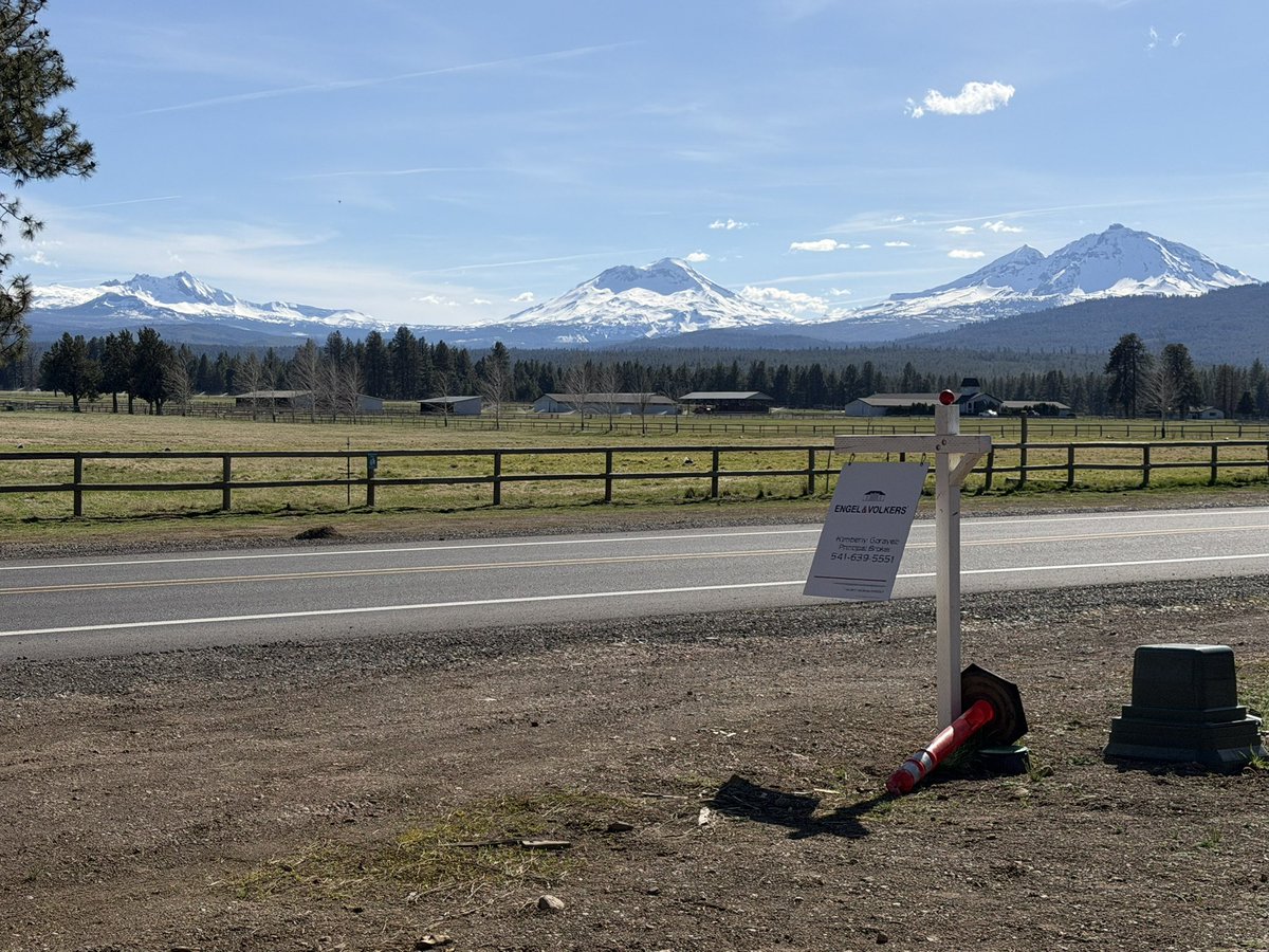 NW Beav 🦫 tweet media