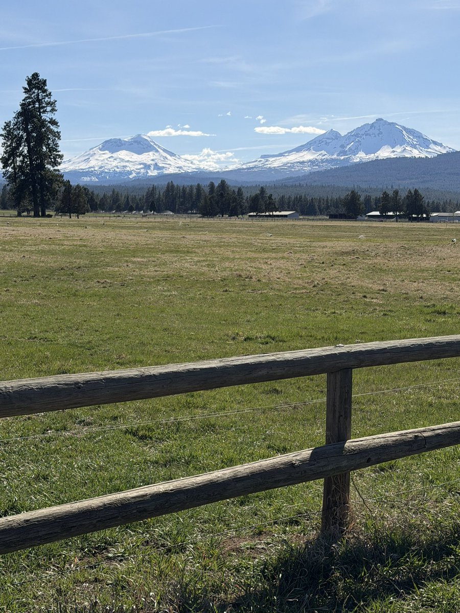 NW Beav 🦫 tweet media