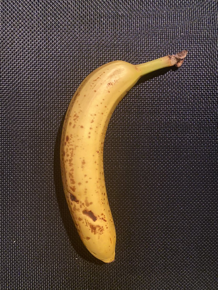 Rat_Ekkoh tweet media