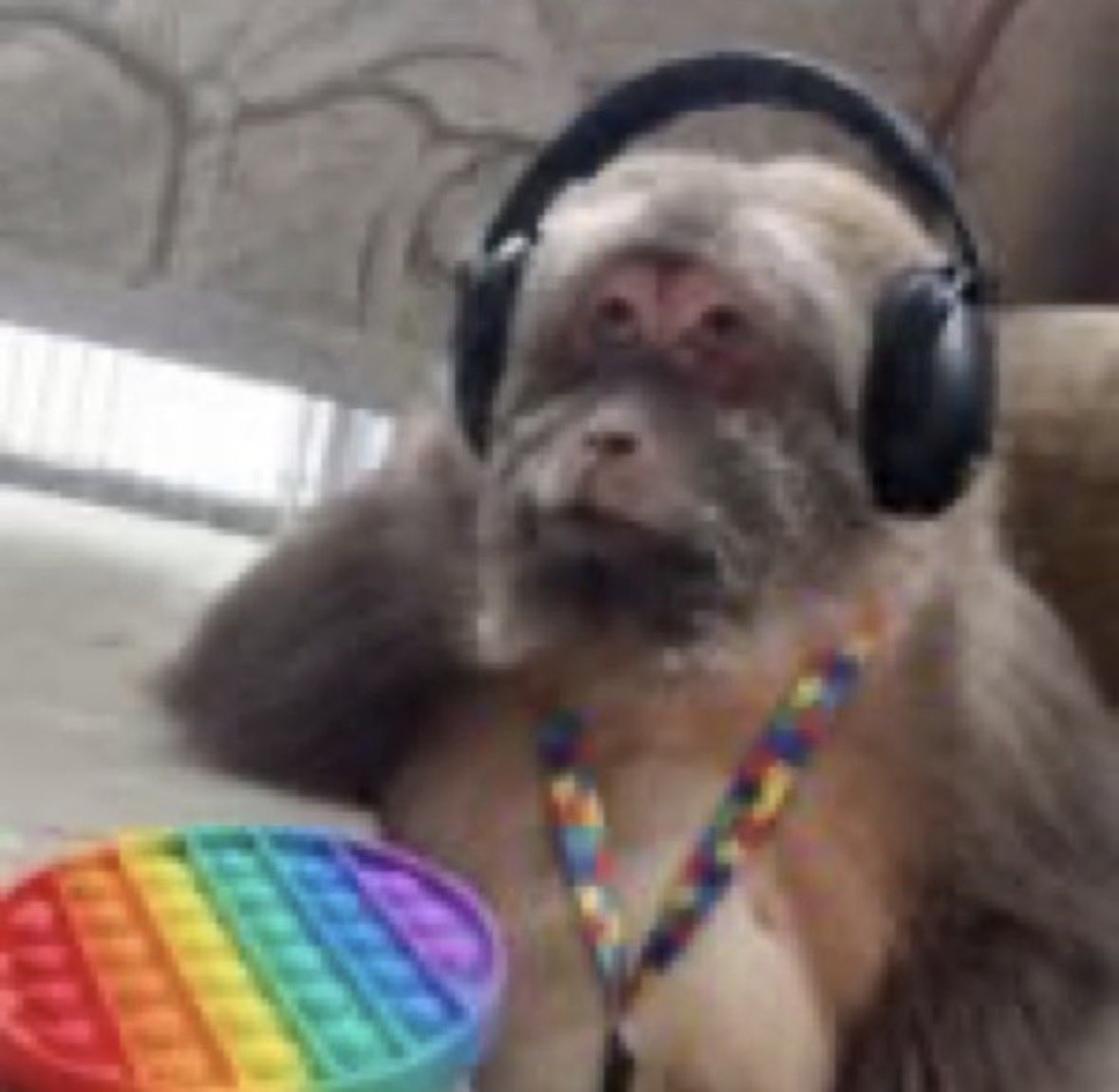 marí 💋 tweet media