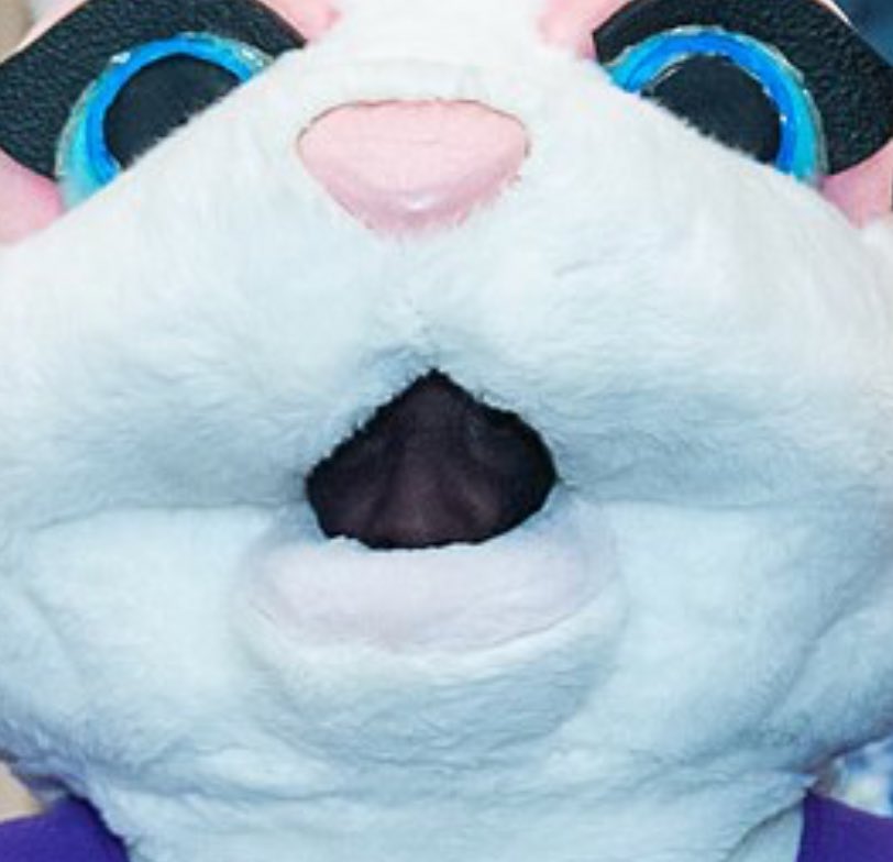 The_Moderate_Virginian tweet media