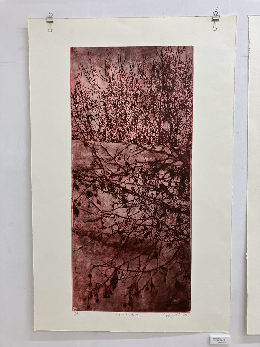 Kooohei2 tweet media