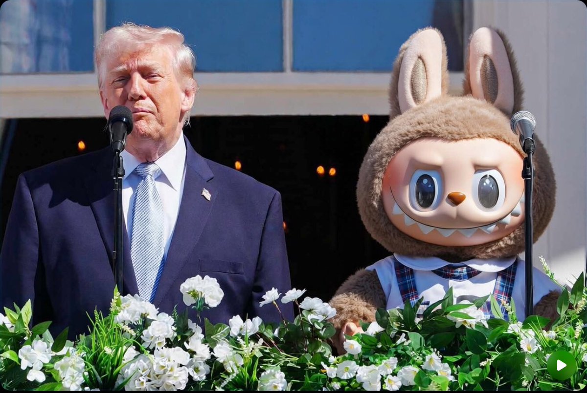 FireFox369 tweet media