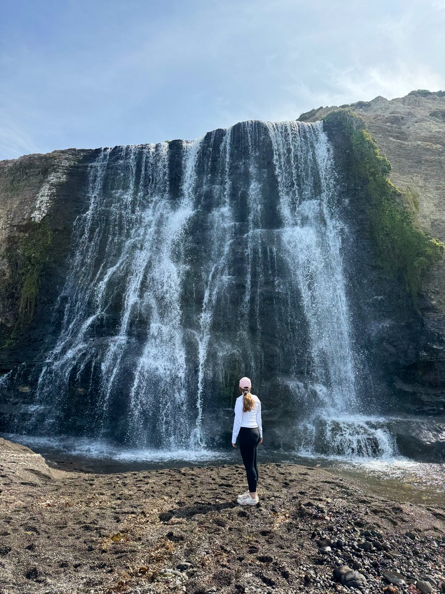 Alyssa Krejmas tweet media