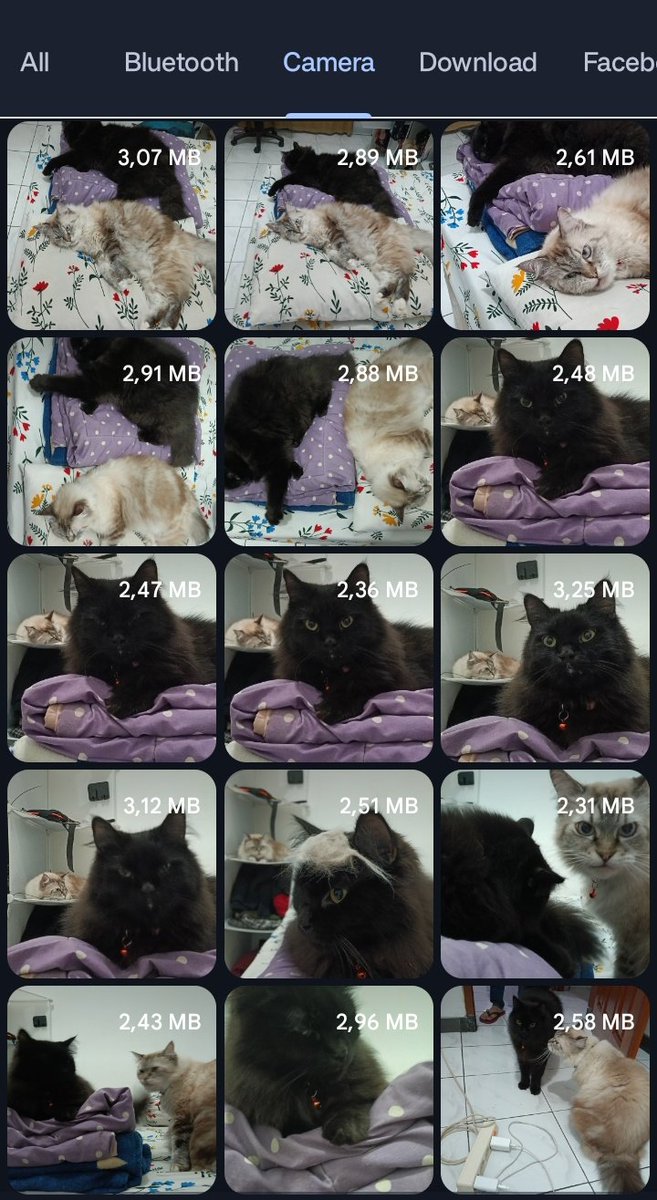 niyo & minjie tweet media