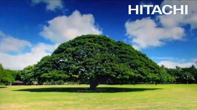 ナタデココ tweet media