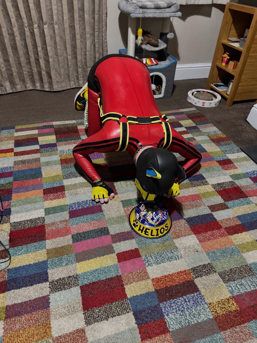 Helios Cobalt 🔜 KK & Collared tweet media