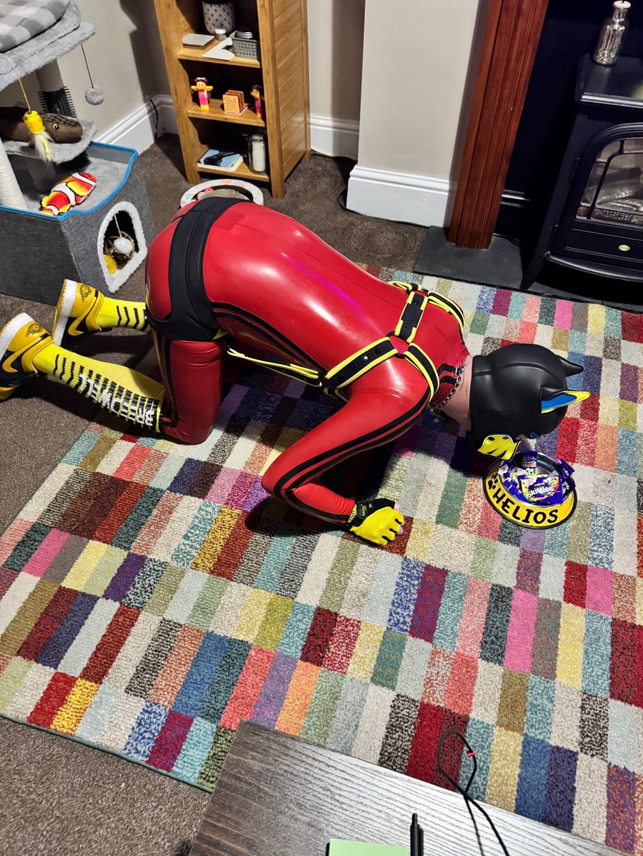 Helios Cobalt 🔜 KK & Collared tweet media