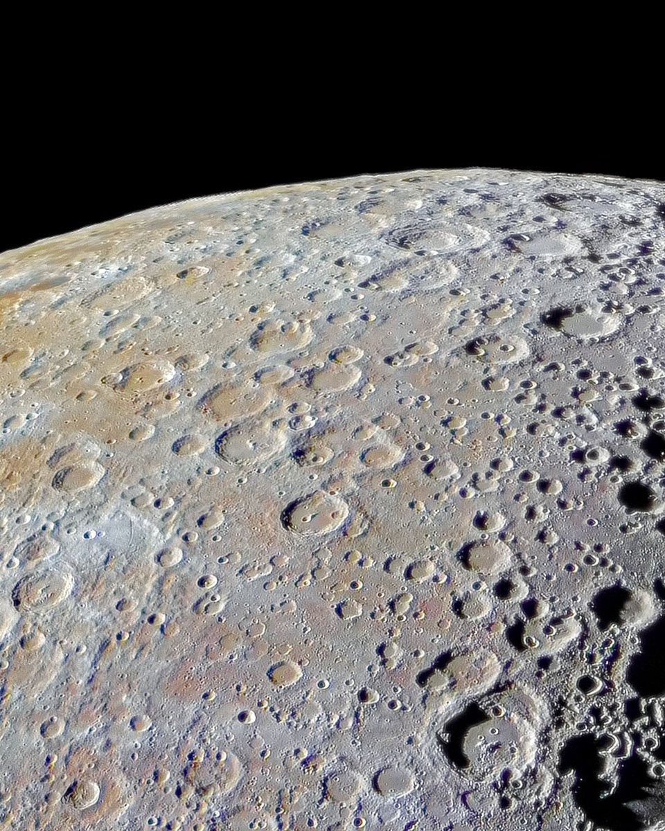 セイヤ tweet media