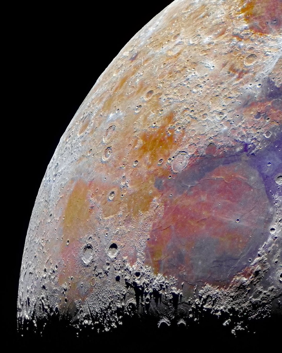 セイヤ tweet media