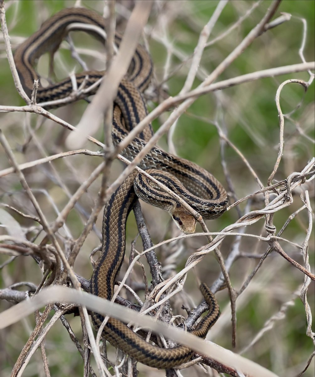 宮嶋 駿介【ミヤシ】 tweet media
