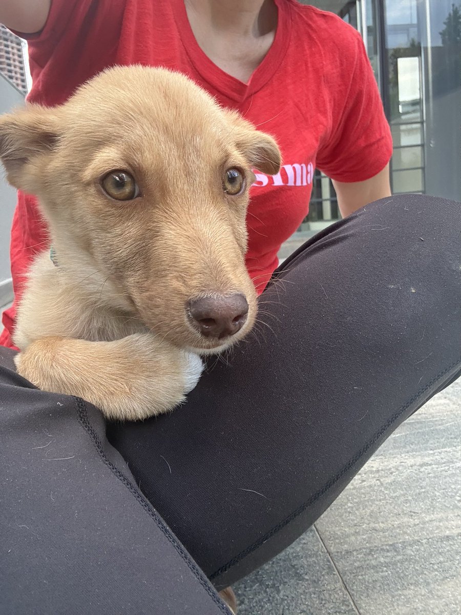 Kirén Miret tweet media