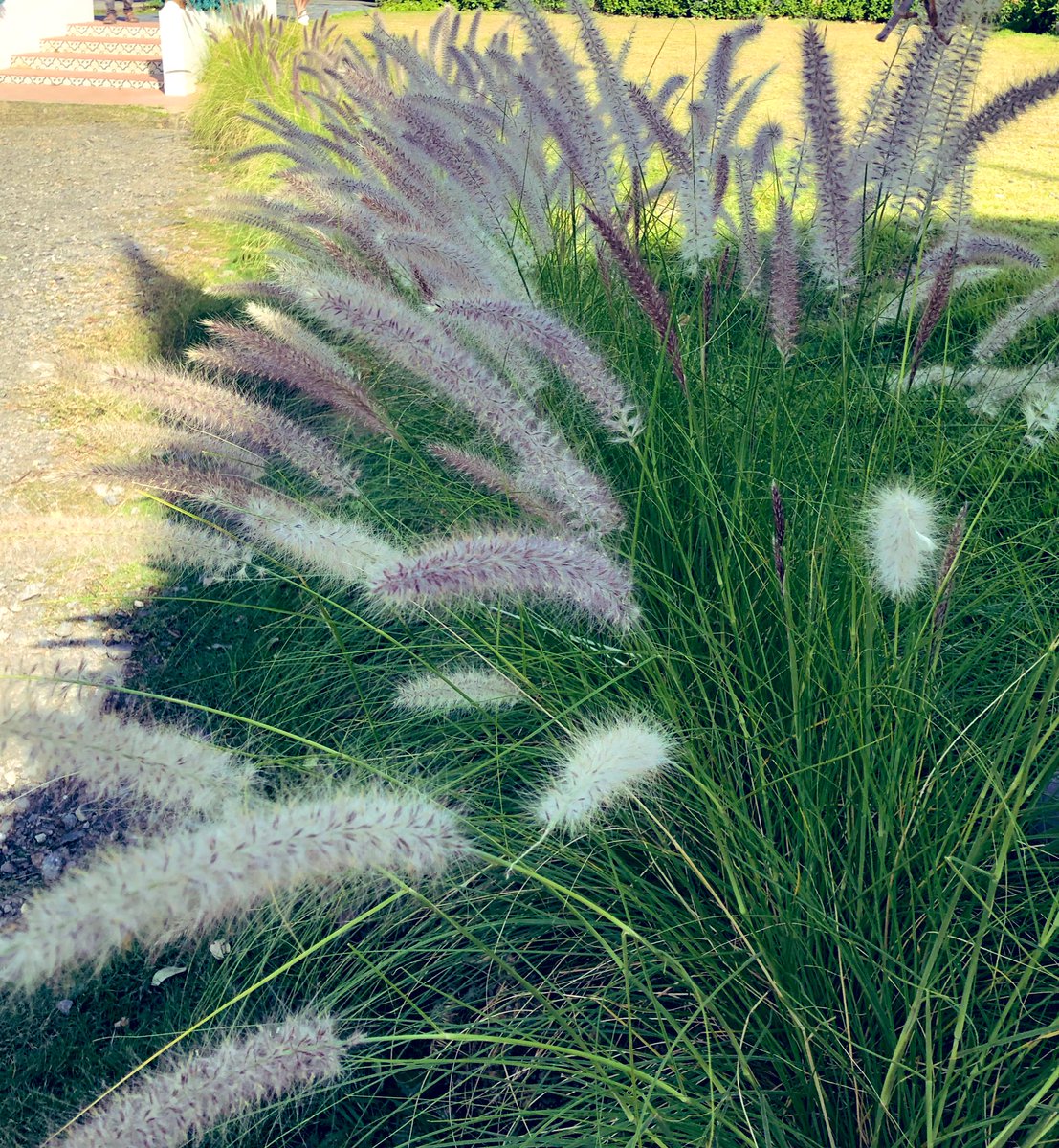 23:23 เองค๊าบบบ tweet media