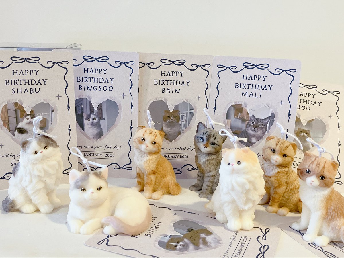 ✨💫Yellow Yellow˚🪸🌨️🐰 tweet media