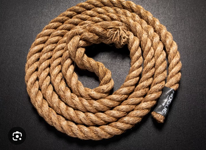 Rick Perry tweet media