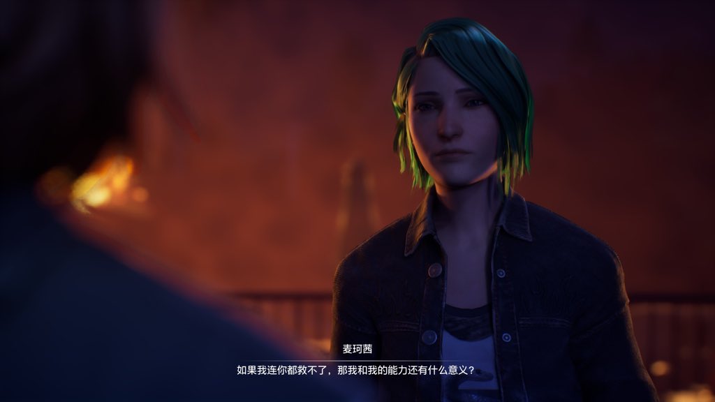 流浪猫 tweet media