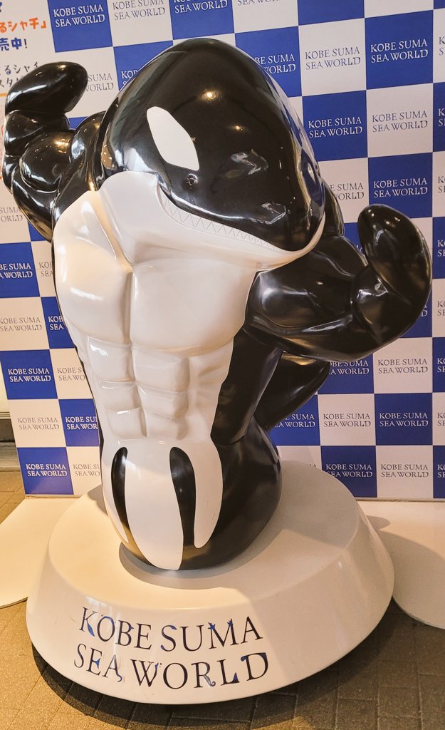 돼만녀의 감정(여전히 터짐) tweet media