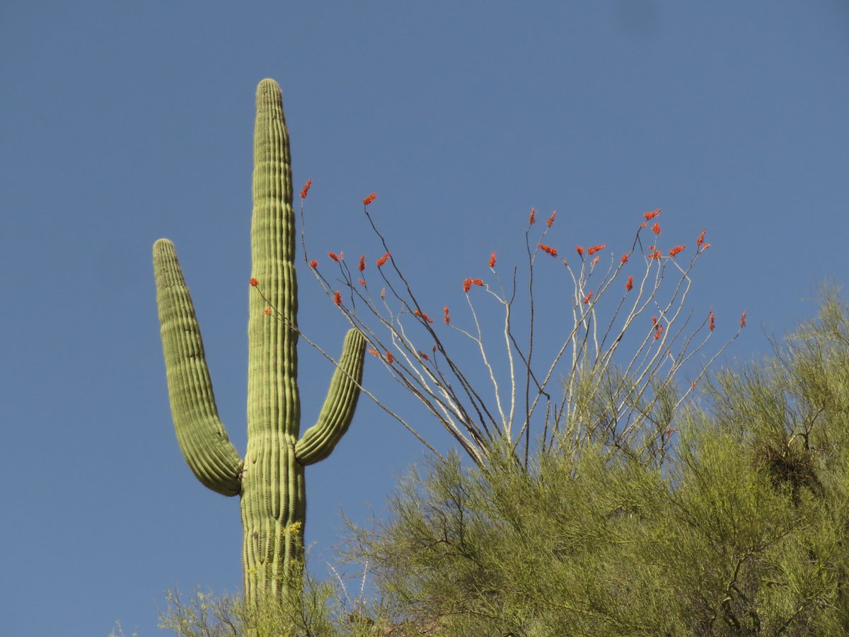 Melissa Crytzer Fry tweet media