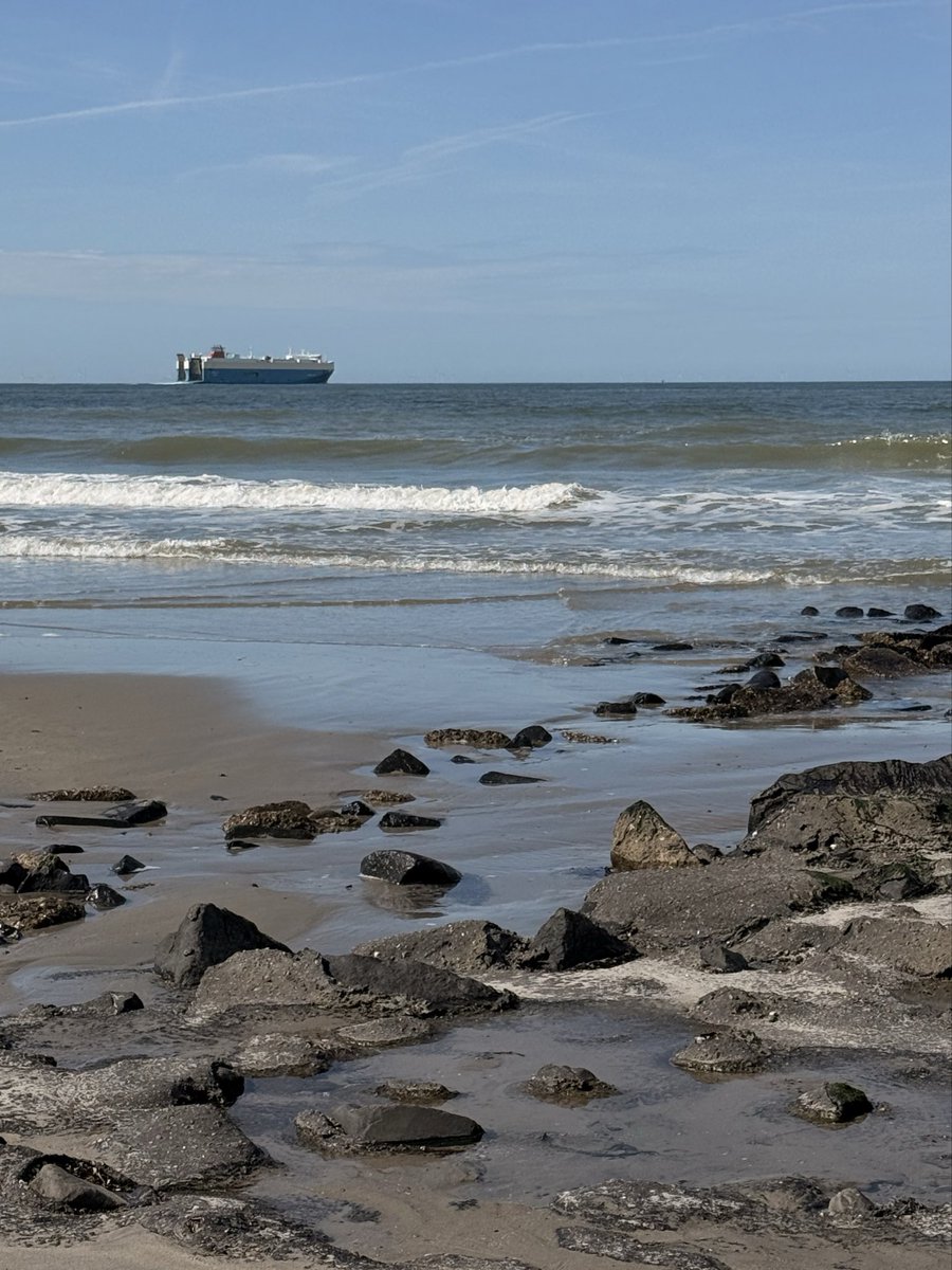 Fr@ncI 🙋🏼♀️ tweet media