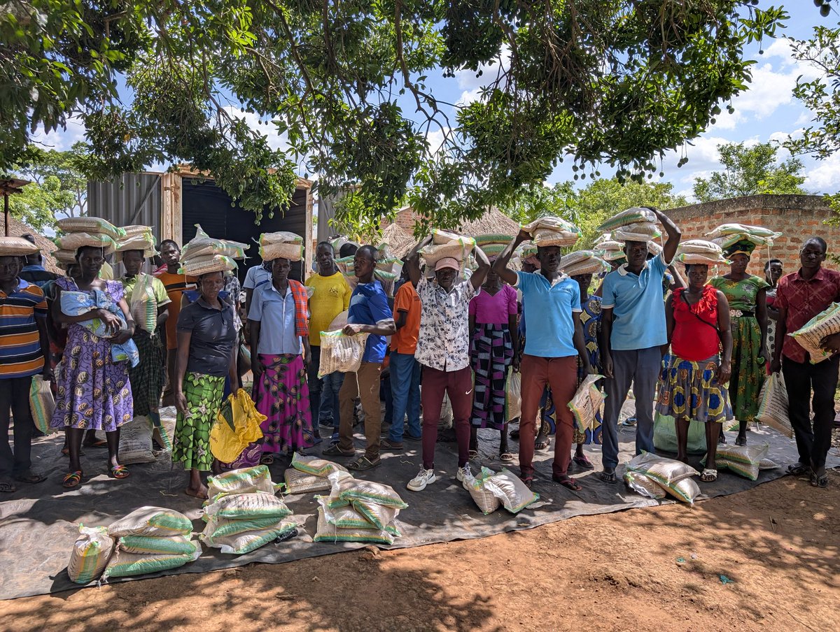 cciug's tweet photo. Farmers in Ayami and Aromo Sub-counties are starting the season with renewed hope. To eliminate the risk of crop failure from poor-quality seeds, 200 farming households have received high-quality seed distributions designed to maximize their output.
@cciug ,@suyanafoundation https://t.co/3dPnP01jSV
