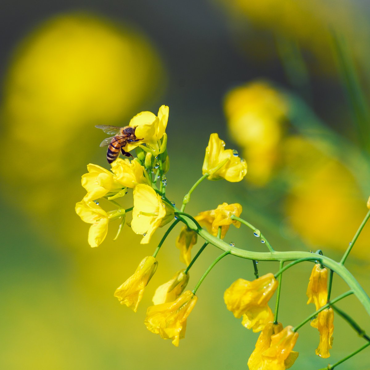 Chrys🌕 tweet media