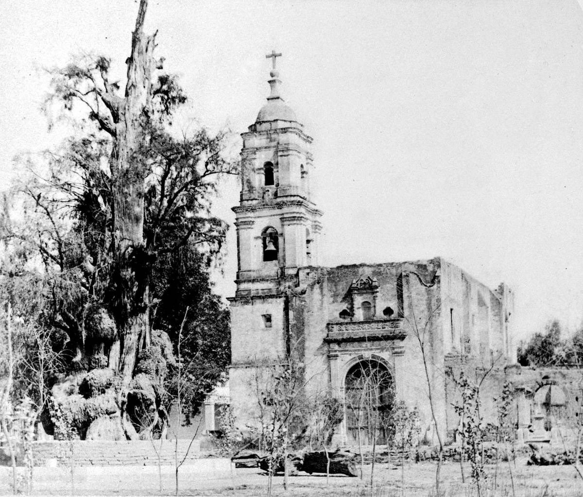 Julio Arellano tweet media