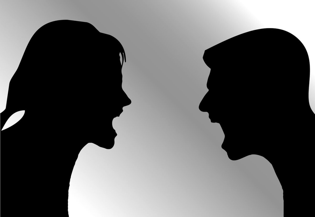 Saara Huhtasaari tweet media