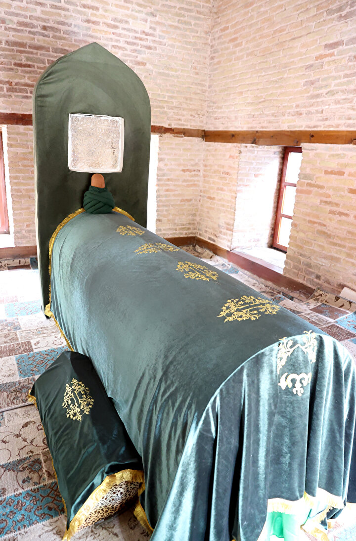 Dailymeow tweet media