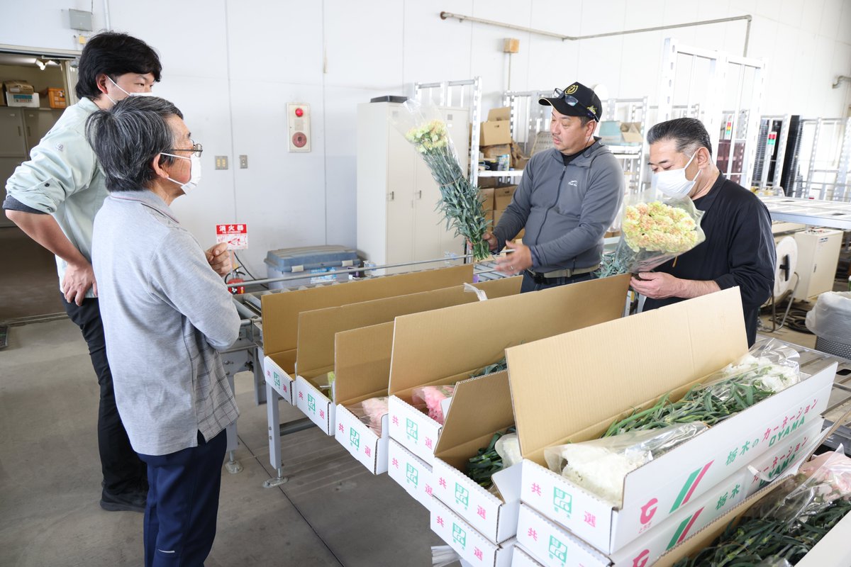 小山花卉園芸組合カーネーション部会は、目揃会を開きました🌸生産者は、各々の生育状況などについて情報や意見を交換しました。
同部会は１９品種栽培しており、出荷は６月頃まで続きます✨
#花　#カーネーション　#母の日　#プレゼント　#JA　#ＪＡ　#ja　#JAおやま　#ＪＡおやま　#農協　#小山
