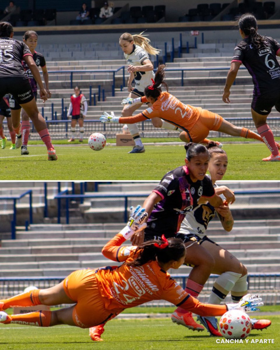 Cancha y Aparte tweet media