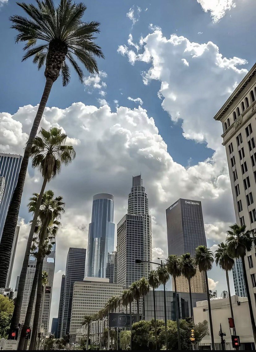 Reilune.base.eth🦋🪖 tweet media