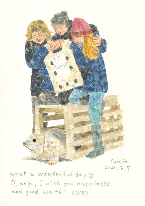 What a wonderful day❤️

海洋ゴミが絡まり、首に深い傷を負ったジャンゴ。
長い療養を終え、3/8に海へ帰りました。
リリース箱を開けたのは
WECのスタッフさん達。
(似てなくてごめんなさい🙏)
ジャンゴにもスタッフさん達にも、素晴らしい日になりました。
#zeehondencentrum 
#アザラシ幼稚園
#seal