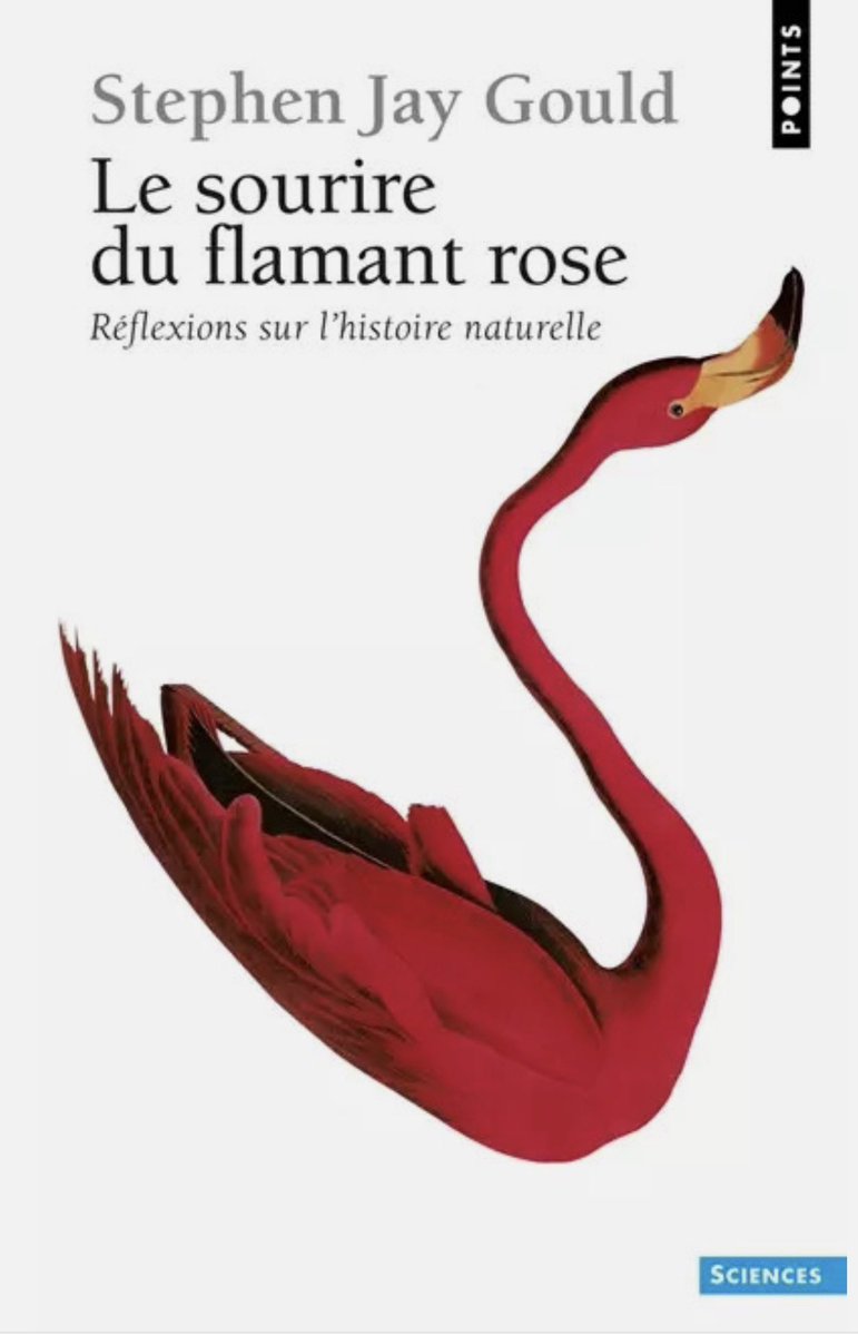 Didier Maïsto tweet media