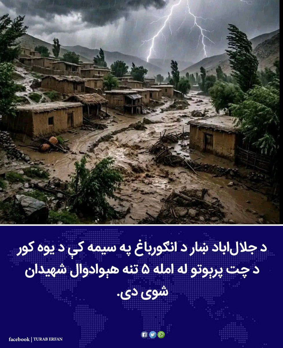 توراب عرفان (Turab Irfan) tweet media