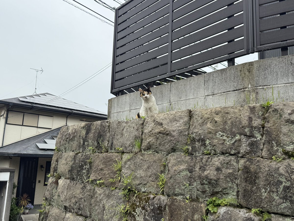 たくろ®︎ tweet media