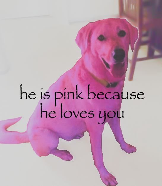 𖣂7th year: sox. ¹¹ | semi ia tweet media