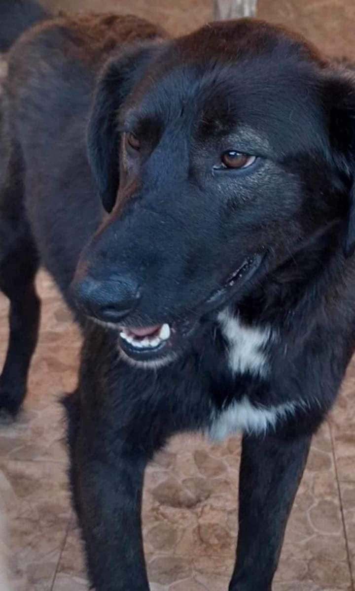 Gill Meek tweet media