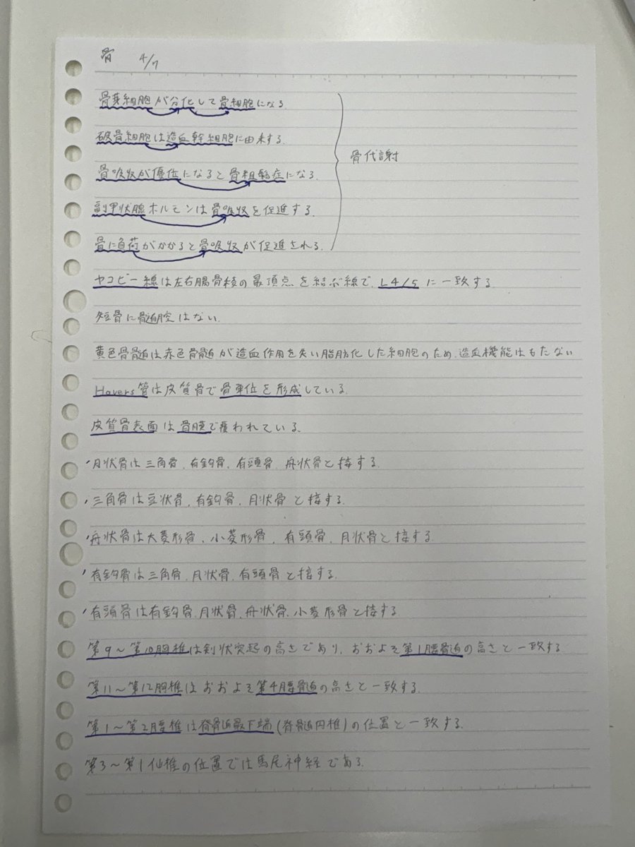 Hb owner しかぬん tweet media