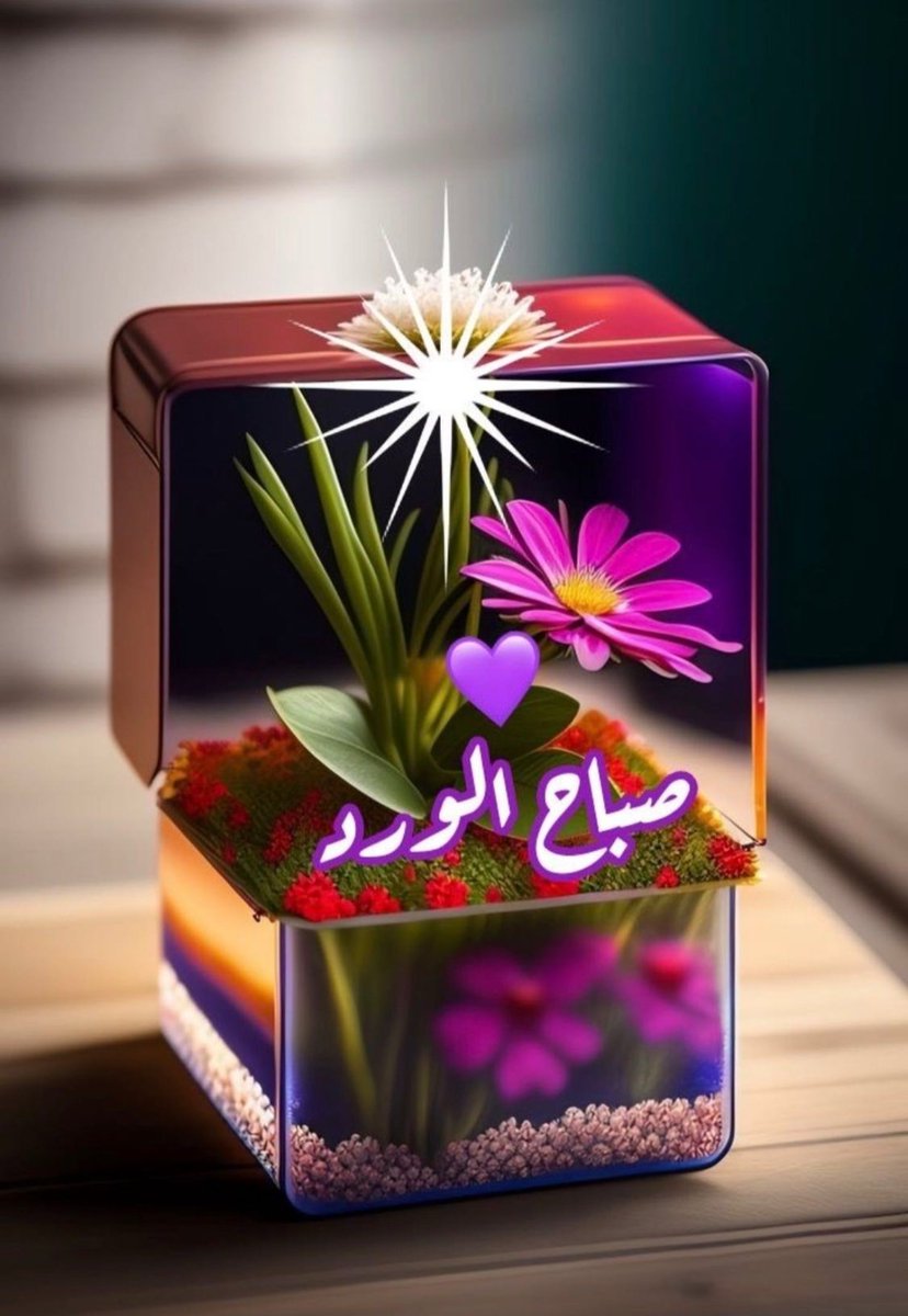 أيـمن النـزاوي tweet media