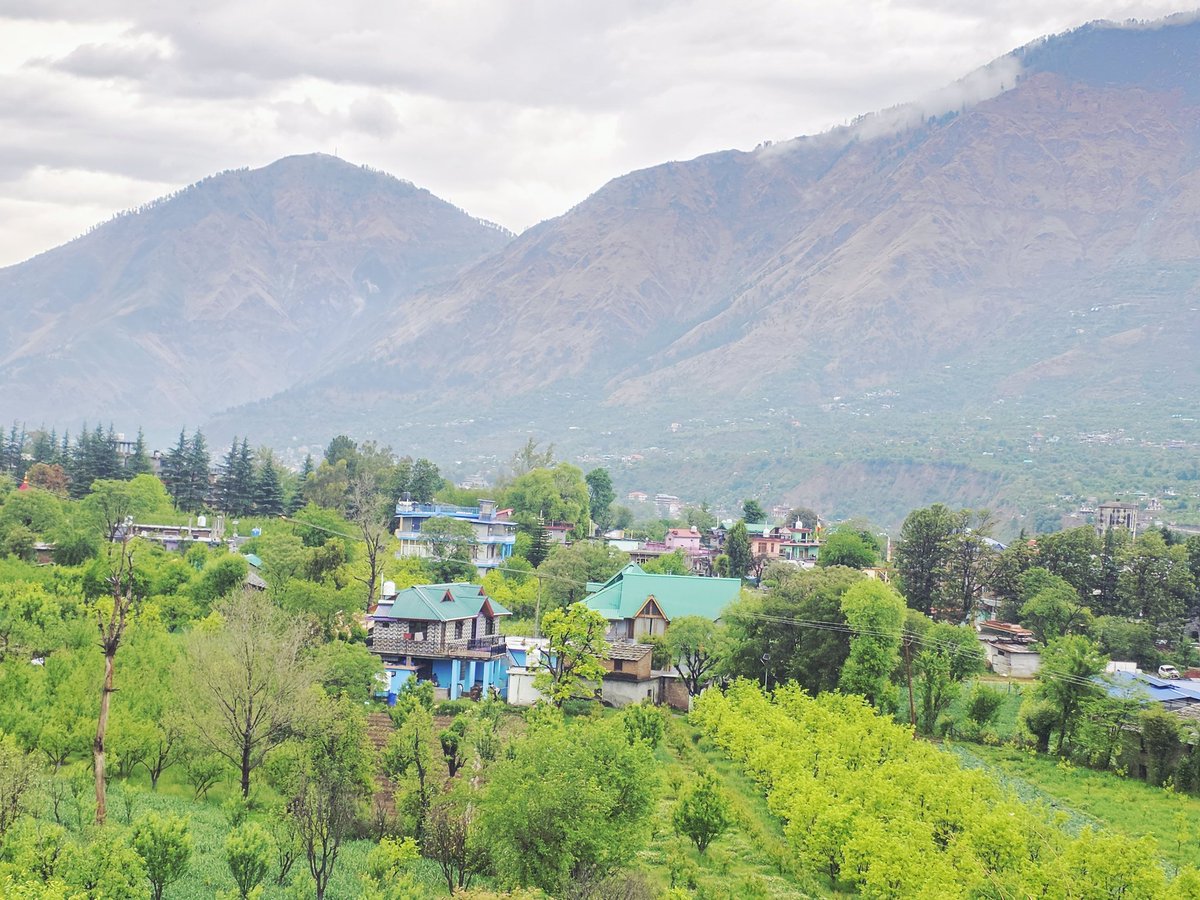 Queen of Himachal tweet media